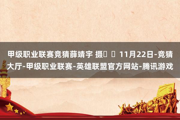 甲级职业联赛竞猜薛靖宇 摄  11月22日-竞猜大厅-甲级职业联赛-英雄联盟官方网站-腾讯游戏
